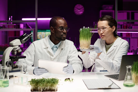 two scientists research adaptogens