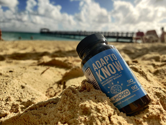 adaptoknow bottle on the beach