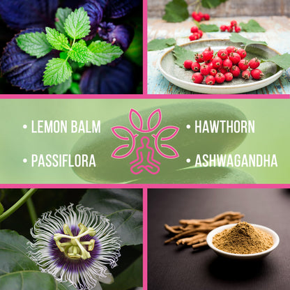Collage of lemon balm, hawthorn berries, passiflora, and ashwagandha with their names displayed. Ashwagandha root and powder used for natural stress relief and energy balance.