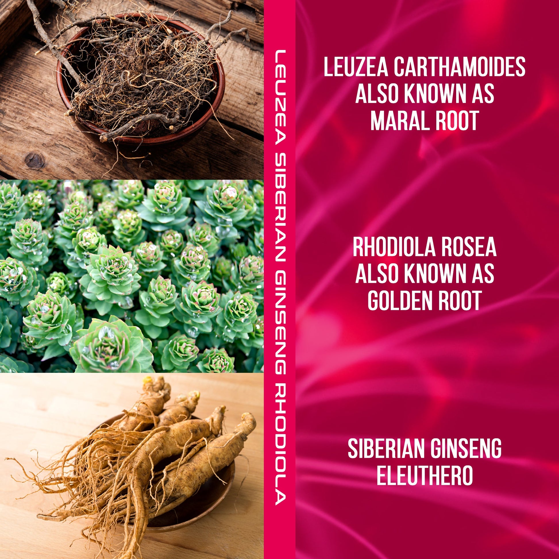 Three images of different root herbal plants with text on a pink background.
