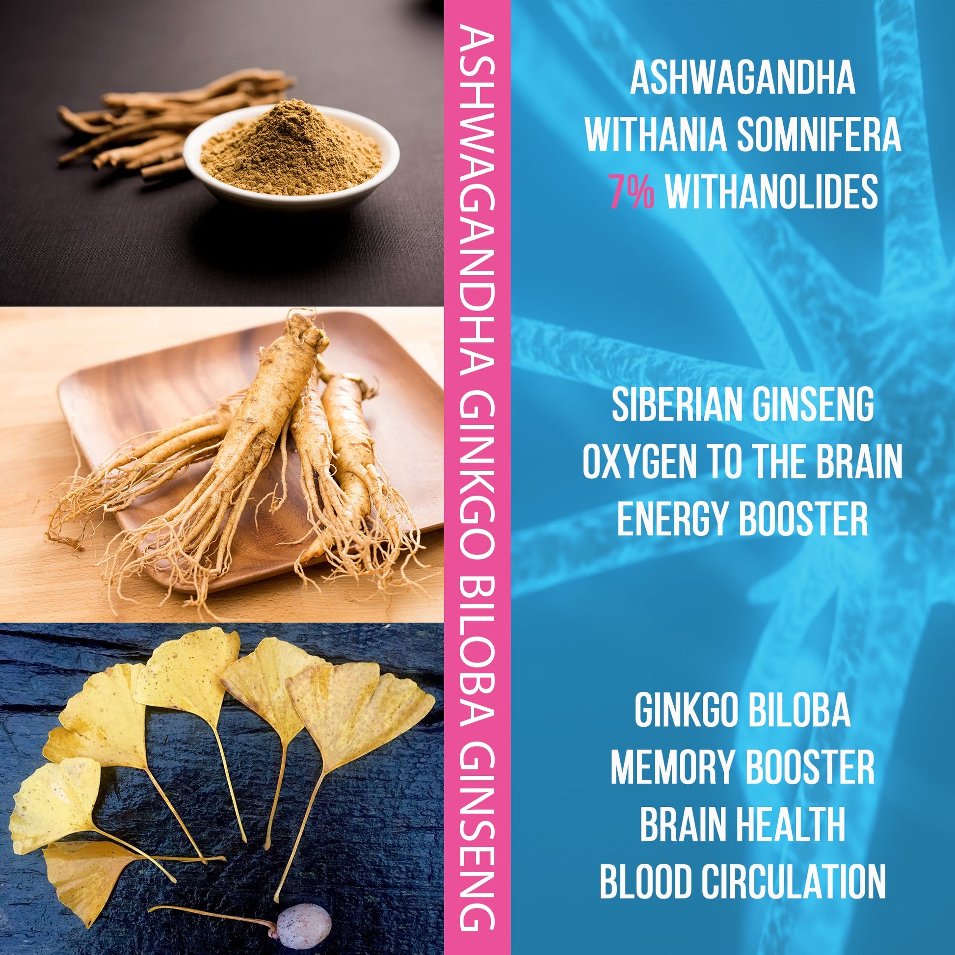 Herbal roots and leaves like ashwagandha, gisneng and ginkgo biloba with text on a blue background.